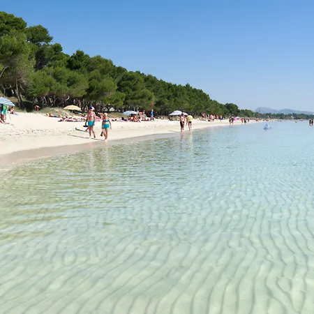 Js Sol De Alcudia